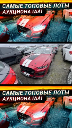 САМЫЕ ТОПОВЫЕ ЛОТЫ АУКЦИОНА IAAI