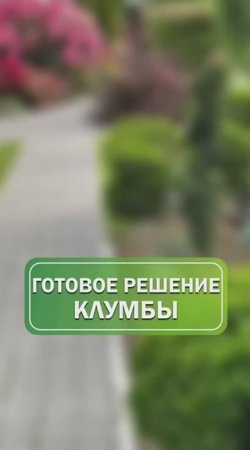 Готовая клумба 🏡 цветник | идеи для сада | подборка
#питомникрастений #саженцы