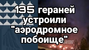 135 Гераней устроили "аэродромное побоище"