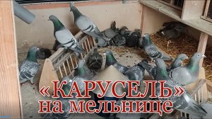 Карусель на Мельнице