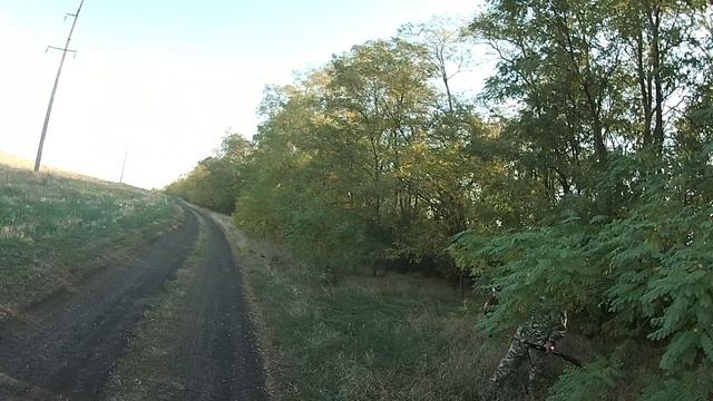 Красивые выстрелы!