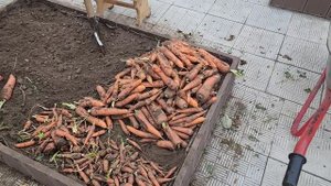 Закрываем огород.