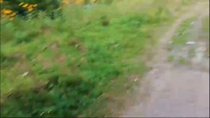 НАШЕСТВИЕ ВТОРАЯ ЧАСТЬ