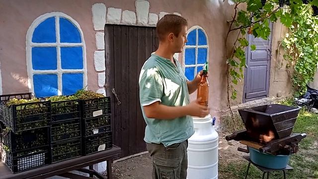 Домашнее вино на диких дрожжах | Дрожжевая разводка (закваска) | В домашних условиях