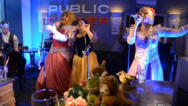 Pylly vasten pyllyä live by Prinsessat @ Public Corner смотреть онлайн
