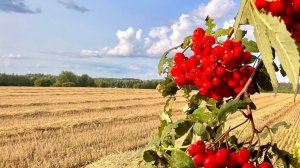 Самая осенняя песня