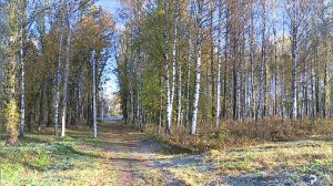 (Рыбинск-40) БИАТЛОННАЯ ТРАССА В ПАРКЕ НА ПРОСПЕКТЕ БАТОВА