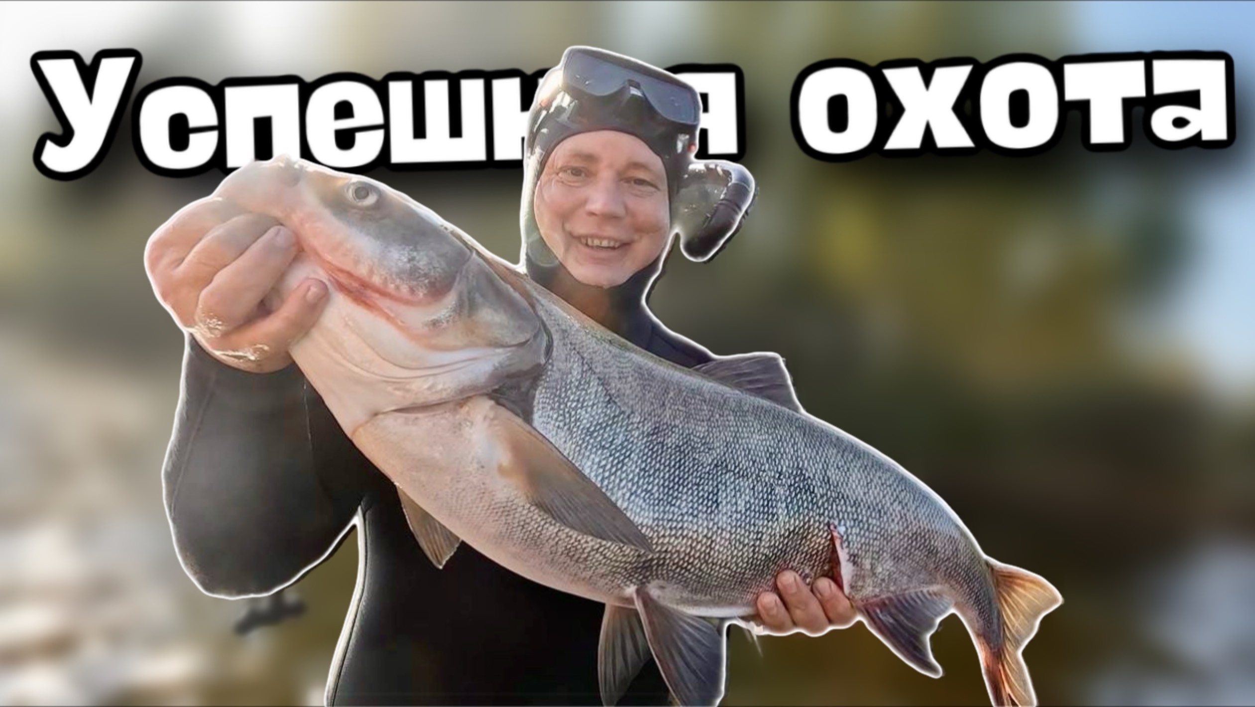 Подводная охота в городе.  Торпеда в воде. Найти и добыть за два часа.