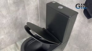Напольный унитаз черный матовый с бачком Gid Tr2179bm