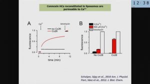 8. Is the Inflammatory Response the Cause of Tissue Dysfunction in Chronic Diseases | Juan Carlos