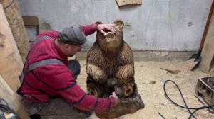 Медведь бензопилой, Сидячий медведь из дерева