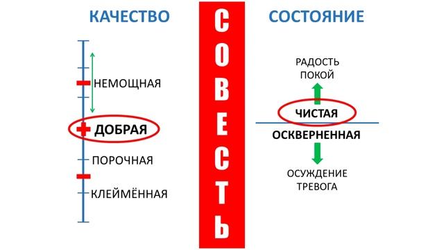 Совесть в Библейском понимании! Яковлев Михаил. Семинар для молодёжи МСЦ ЕХБ