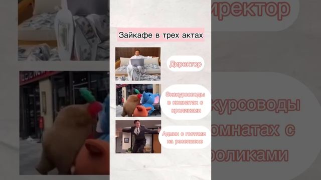 Типичный выходной в антикафе с кроликами  #кролик #кролики #кафескроликами #зоопарк #зайкафе