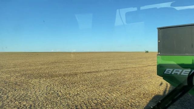 Harvest 2022 (First Harvest Video Since Last Year)