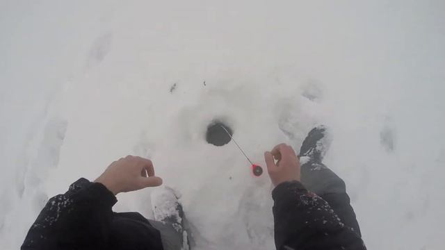 Рыбалка в глухозимье и бесклевье января. Ловим окуня.