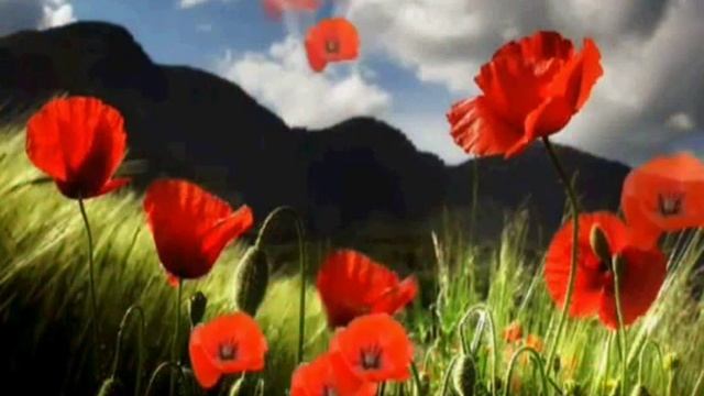 ÖLMEYEN SARKI BULENT ERSOY смотреть онлайн