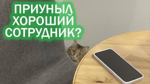 Что делать, если у менеджера по продажам потухли глаза?