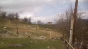 Село зильдик