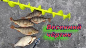 Весенний чёртик