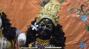 Mangala Arati Live Darshan, 10.08.2022