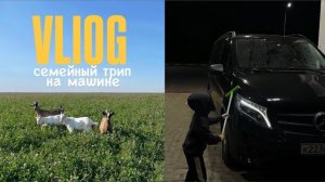 влог: путешествие на машине