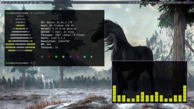 DWM Ricing - Suckless Unixporn