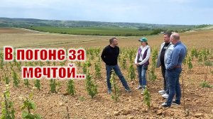 Винодельня UVA VALLIS и её основатель Константин Маньшин. Из Перми в Крым с любо