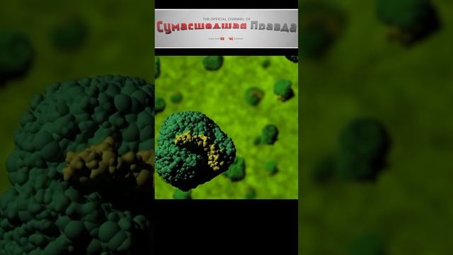 Почему светлячок светиться?#почему#интересно знать#светлячок#светиться#познавательно#