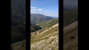 В горах Чечни (Гендаргной) 2023