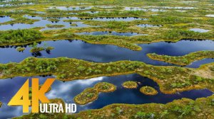 Bird's Eye View of Lithuania - 4K Relaxing Aerial Film with Soothing Music