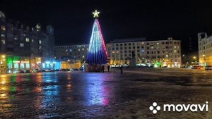 В Выборг за сынулей хвостиком
