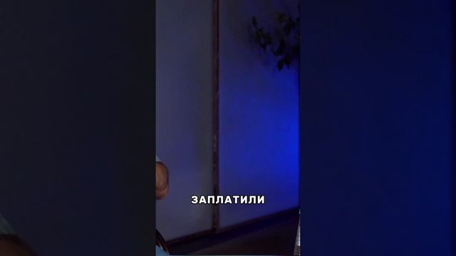 ПЛАТНОЕ образование это хорошо? / #актеры #образование #мотивациянауспех