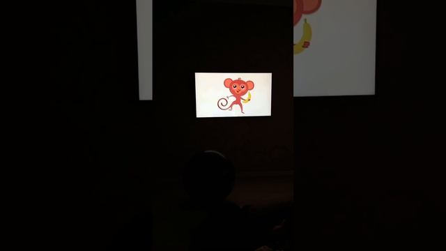 даже обезьянка помнит старого литвина кондиционера.