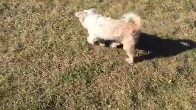On top of Irving cliff 11/6/16 смотреть онлайн
