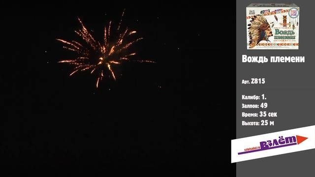 Вождь племени