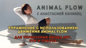 ANIMAL FLOW как разнообразие в основном тренинге