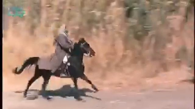 Qisadii Nabi Yuusuf CS Afsomali смотреть онлайн