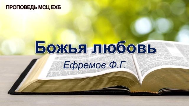 Божья любовь. Ефремов Ф.Г. Проповедь. МСЦ ЕХБ