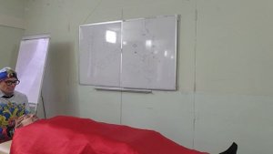 Сеанс конгресс на Форуме практик Народной Медицины