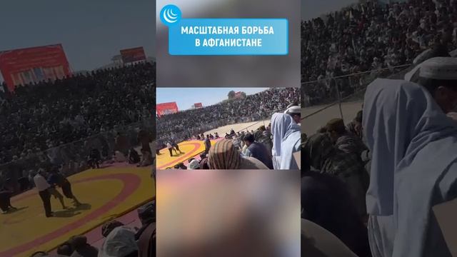 МАССОВАЯ БОРЬБА В АФГАНИСТАНЕ