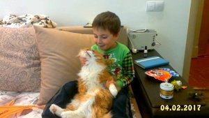 Вова и Зизик