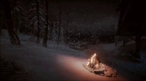 Зимний лесной ветер и метель у теплого костра в ночном лесу звучит для сна и отдыха