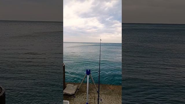 кто куда а мы на рыбалку #рыбалка #море #fishing #отдых #рыбалкавсочи #shorts
