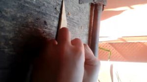 Нож бабачка из дерева.