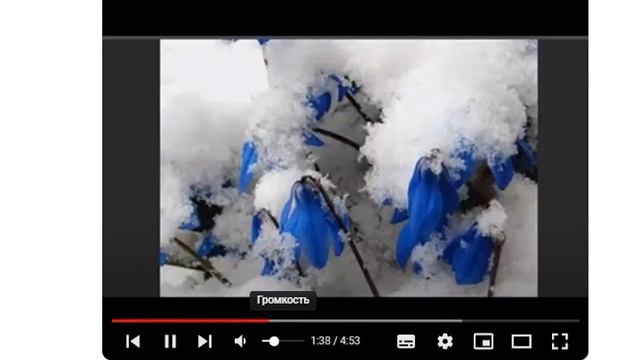 Соавторам Ожившей Поэзии от А до Я, Концерт 060, Чтение, муз. и исп. #СамуилФрумович смотреть онлайн