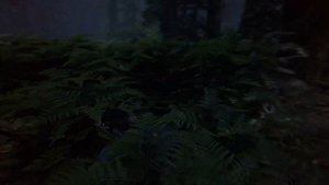 Одни из нас: Часть II (Last of us 2) - Шрамы Серафиты (Реализм+)