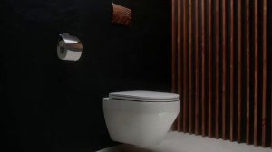 Унитаз подвесной AM.PM Spirit V 2.0 C701700WH Spirit