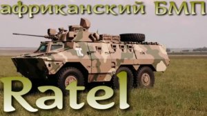 Африканский боец - БМП Ratel