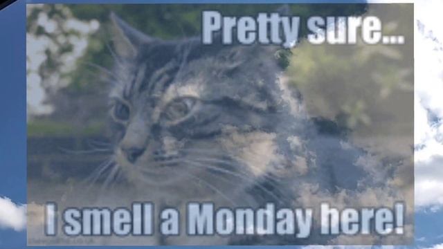 Лявон Вольский. Маё каханне. смотреть онлайн