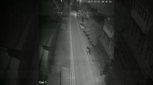 спасение кошки собакй